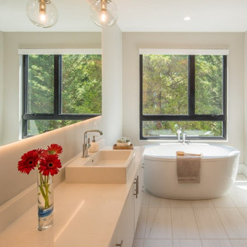 Modern Solar Home - Arlington, VA