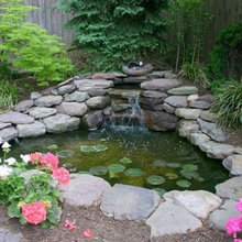 Ponds