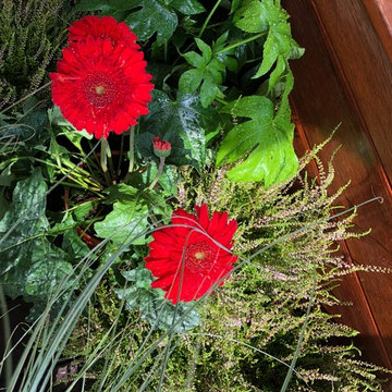 terrasse zen et cosy Bidart