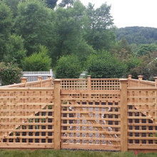 raised bed veggie garden