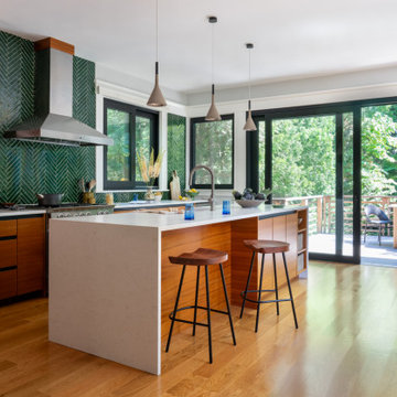 Observatory Hill Modern Victorian