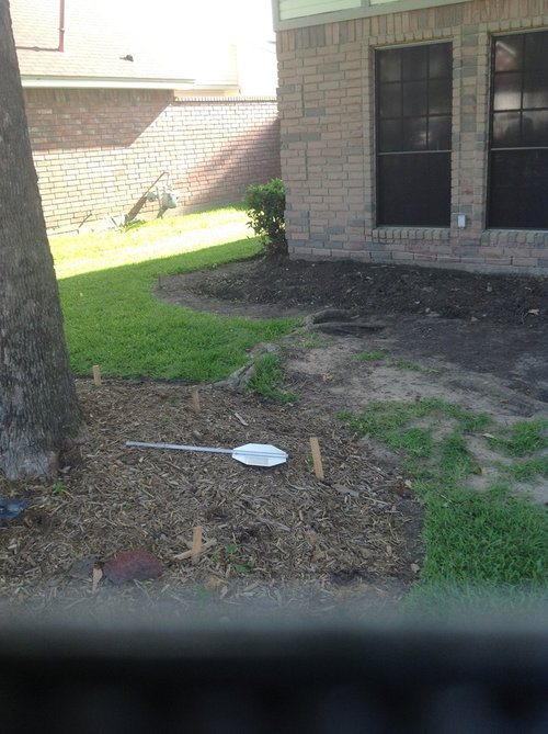 Need help with surface tree roots.