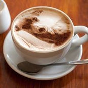 Rosi Schnee's photo