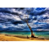 Riz Chan's photo