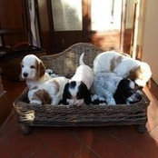 Foto von Doris Ghezzi