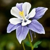 Carole Brandt's photo
