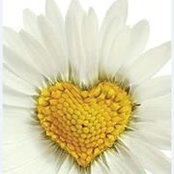 Bev Delikatny's photo