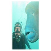 Adam Duhachek's photo