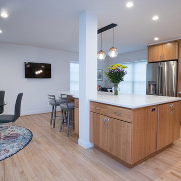 Modern Wood Kitchen Remodel | Open-Concept Layout & Large Quartz Island
