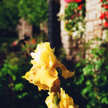 Vintage garden design