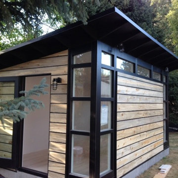 Beetle Kill siding