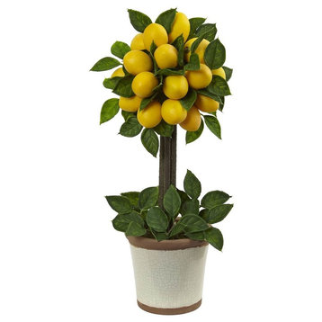 Lemon Ball Topiary Arrangement