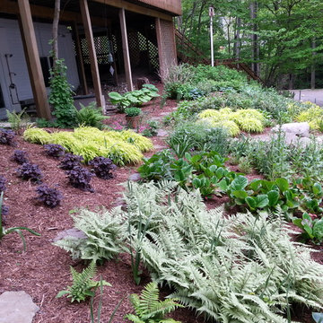 Duneside Shade Garden