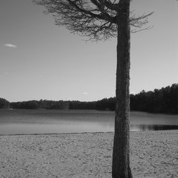 Nature/Landscapes - Artwork