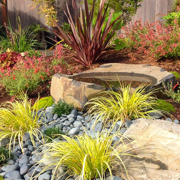 Mercer Island Swimming Pool Infill