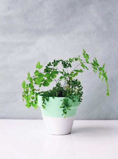 Traditional  by Moodfeather