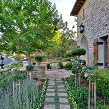Garden / Outdoor