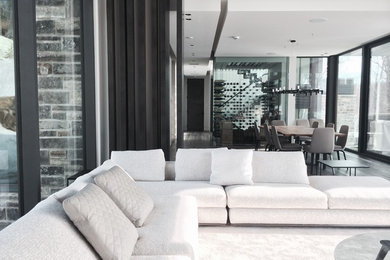 Inspiration for a contemporary living room remodel in Montreal