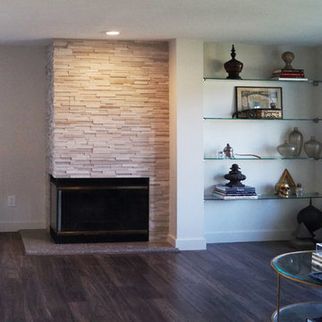 Living Room Remodel