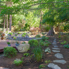 Patio Ideas