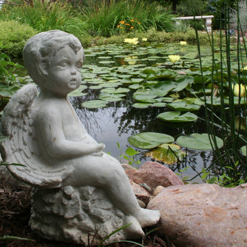 Koi Ponds and Water Gardens