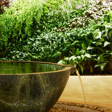 Outdoors/Landscape