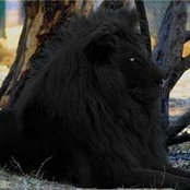 Jason Cole's photo