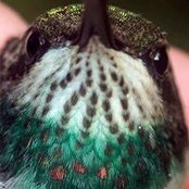 Nancy Reinhard's photo