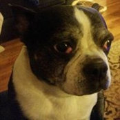 Kelly Wragg's photo