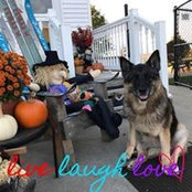 Michelle Lund's photo