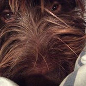 Gail Tilson's photo