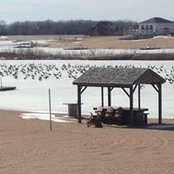 Kris Peitsch Faltin's photo