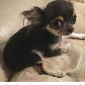 richie m's photo