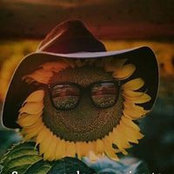 Tracey Penney's photo