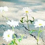 Jodi Brady's photo