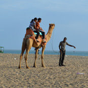 Meera Pranav's photo