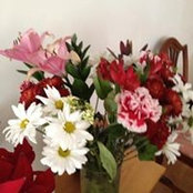 Lindsay Moore Germer's photo