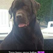 Foto von Sylvie Badache