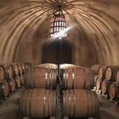 Sarah Quattrocchi's photo