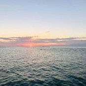 Linda Fox's photo