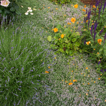 Gamble Garden Spring Tour 2014: Hamilton