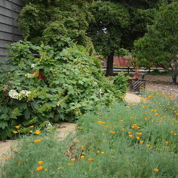 2016 Gamble Garden Tour - Stanford