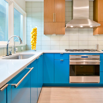 Mid-Century Modern Kitchen with Greenfield Cabinetry