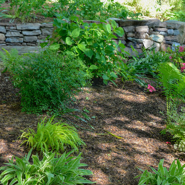 Woodland Garden on a Slope