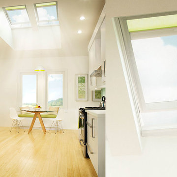 VELUX Skylights
