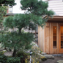 Sauna/ Outdoor