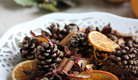 How to Make Winter-scented Potpourri in Four Easy Steps