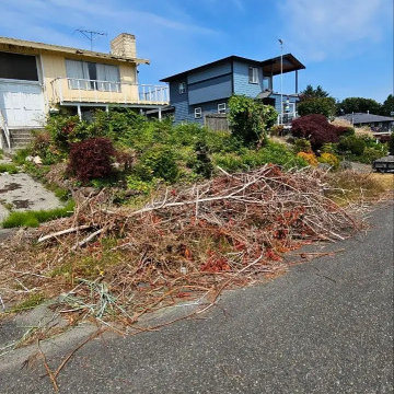 Branch Removal Tacoma: Fast & Professional Yard Clearance