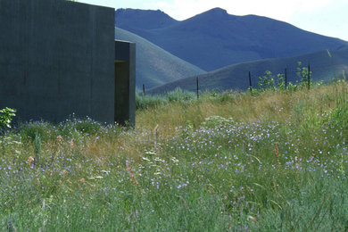 Photo of a modern landscaping in Other.