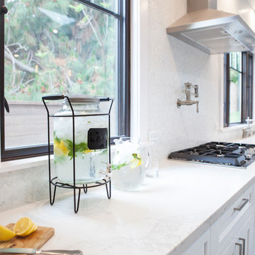 Craftsman (Transitional) Kitchen Remodel